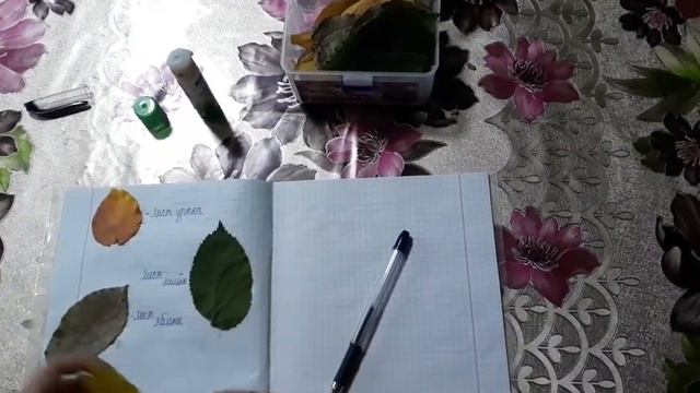 ОСЕННЯЯ АППЛИКАЦИЯ//ДОМ.ЗАДАНИЕ// смотреть онлайн