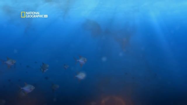 Путешествие к ядру Земли. National Geographic смотреть онлайн