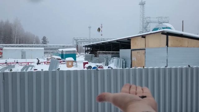 Синички кушают смотреть онлайн