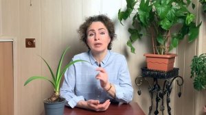 Как отличить Амариллис и Гиппеаструм