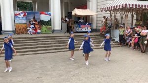 Васильковая страна