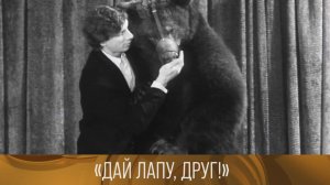 "Дай лапу, друг!" (1974) / "Солнечный клоун. Олег Попов" (1986)  // XX век @Телеканал Культура