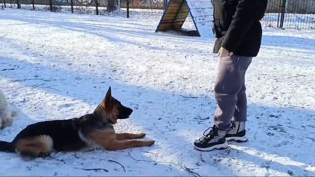 Баларис УМБРА-ДЖЕММА, 8,5 мес. 1 часть