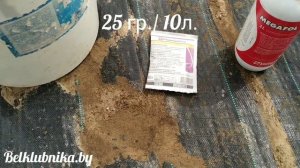 Обзор опрыскивателей. Обработка клубники. Ридомил Голд. Норма внесения. Belklubnika.by.mp4