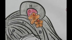 Энчантималс, мультик, Прю Пандини и Нари, мишка среди листвы и бабочек, раскраска для детей