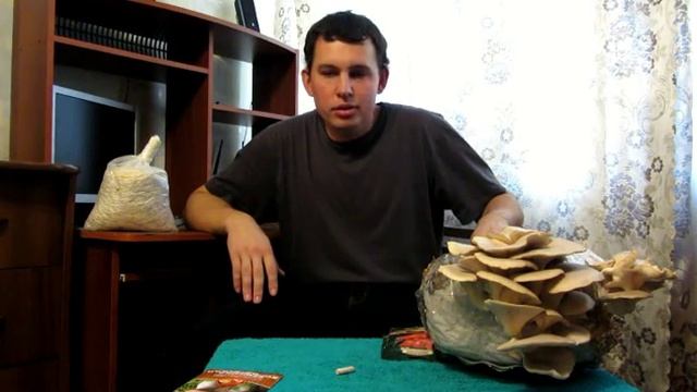 мицелий на палочках "Вешенки Королевской"