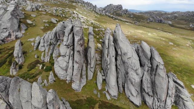 Ты особенный! Чем человек отличается от всех остальных существ! смотреть онлайн