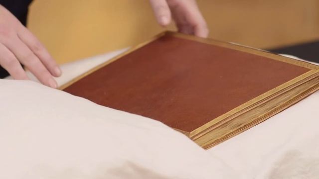 The Bibliographical Society: Virtual Summer Visit, The State Library of Victoria смотреть онлайн