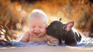 382 Давид Тухманов feat. Непоседы - Золотая горка