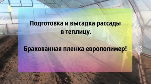 Подготовка теплицы. Высадка рассады. Бракованная пленка Европолимер.