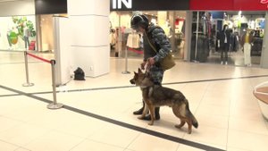 Накануне в ТЦ рядом с водоёмом Тарелка состоялась антитеррористическая тренировка