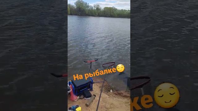 Рыбалка #shorts #рыба #рыбалка #fishing #фидер #feeder #feederfishing #флагман #flagman #нарыбалке