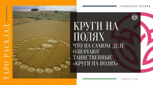 КРУГИ НА ПОЛЯХ. Что на самом деле означают таинственные «Круги на полях»