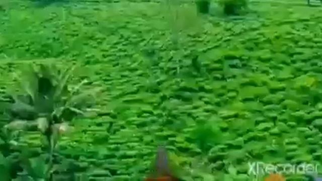 Destination in West Java, Indonesia. #fyp #indonesia #tourism #pariwisataindonesia #international смотреть онлайн