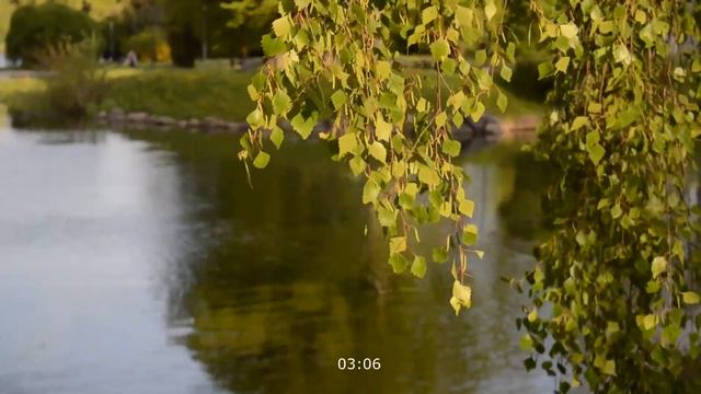 ХОТЕЛА СИЛЬНО, НО ВЕРНУЛАСЬ К МУЖУ. Интересные истории из жизни. Жизненные истории, аудио рассказ смотреть онлайн