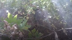 V День спецназа 20220829_339.mp4