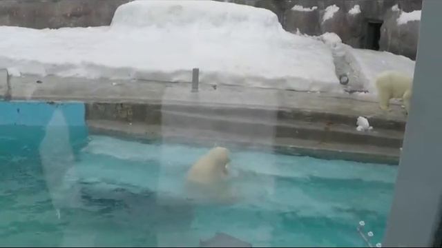 Поездка в Удмуртию, Ижевск. Март 2017. смотреть онлайн