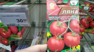 Ляна, хороший грунтовой сорт помидор