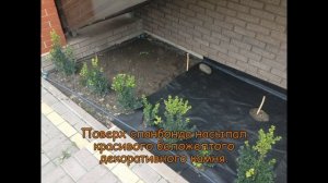 Делаем клумбу. Спанбонд защита от сорняков
