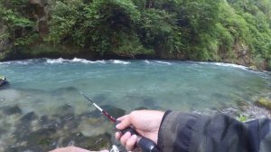 Абхазия рыбалка на горных речках (форель).