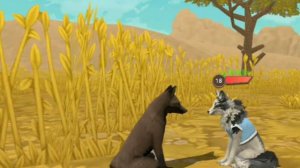 Wild Craft сериал *СТАИ* 10 серия(с озвучкой)