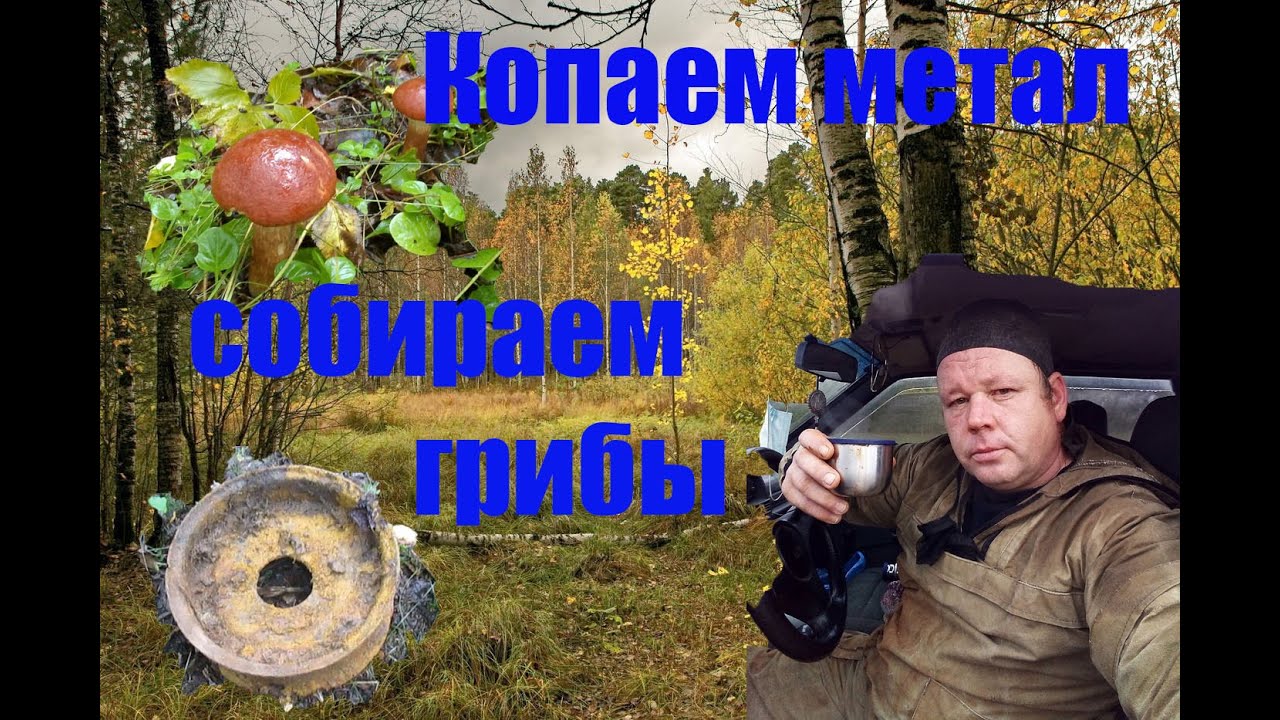 МЕТАЛОКОП В ЛЕСУ__СОБИРАЕМ ГРИБЫ__ДЫШИМ ЛЕСОМ
