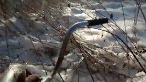 Зимний коп. Крутая находка без металлоискателя!!!!!.