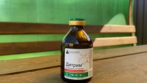 Дитрим, лечим бройлеров от насморка и кашля