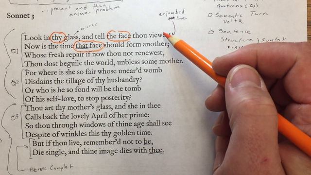 Shakespeare: Sonnet 3: Look in thy glass, and tell the face thou viewest смотреть онлайн