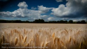 музыкальный клип _Скрипач_