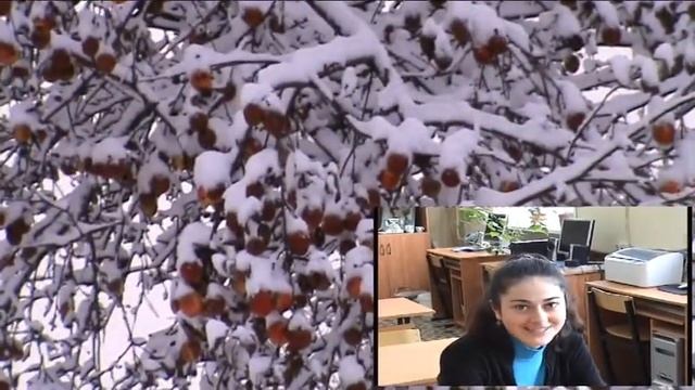 Наш дом Россия смотреть онлайн