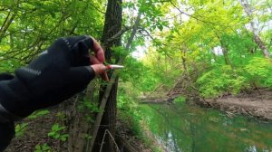 Рыбалка на голавля.  Воблеры на голавля. Рыбалка май 2022