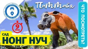Сад Нонг Нуч  экскурсия из Паттайи и зоопрак Кхао Кхео ВИП с ананасовой фермой