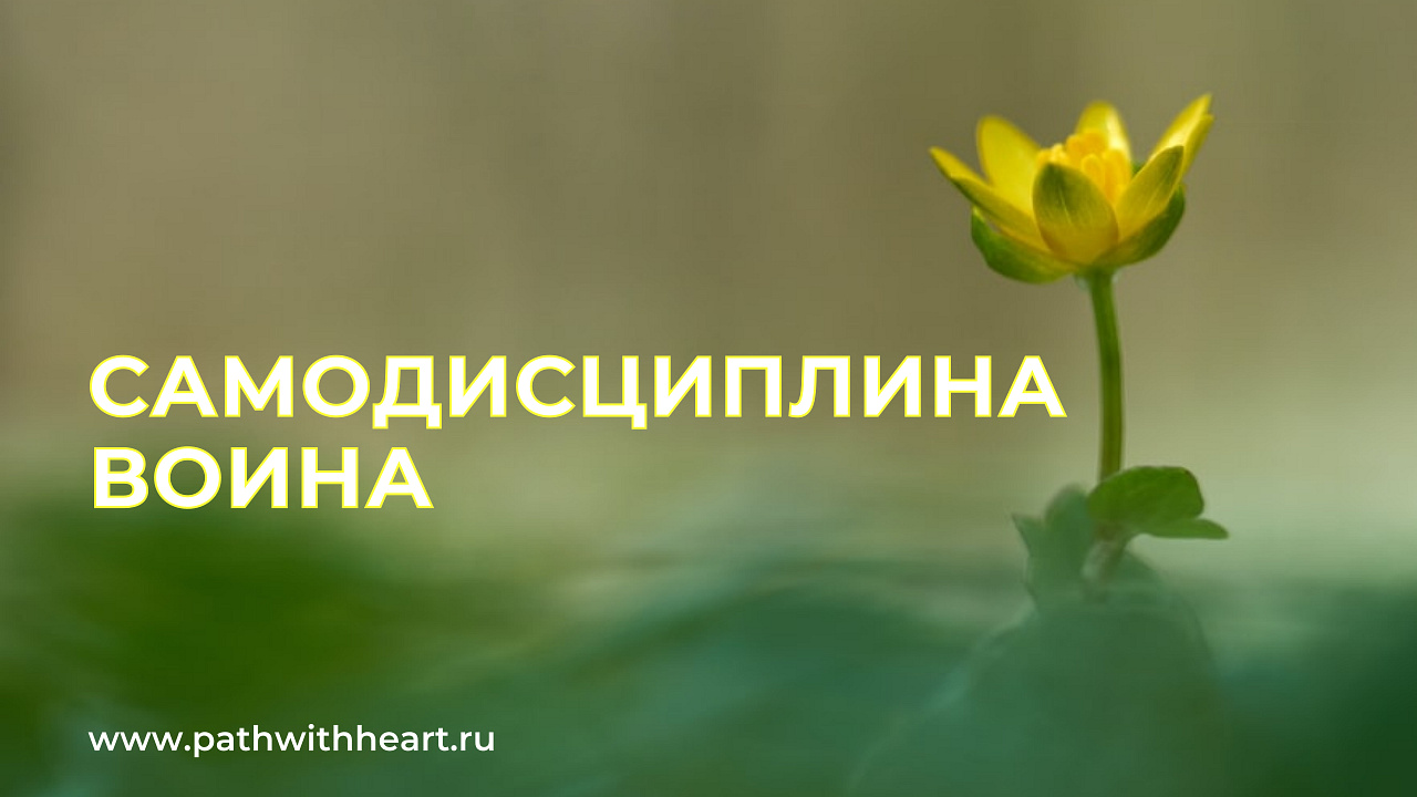 Самодисциплина воина и самодисциплина обычного человека
