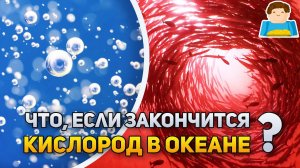 Что, если закончится кислород в океане? | Plushkin