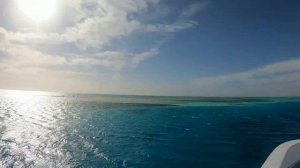 БЕЛЫЙ ОСТРОВ. ЭКСКУРСИЯ ИЗ ШАРМ-ЭЛЬ-ШЕЙХА НА ЕГИПЕТСКИЕ МАЛЬДИВЫ. РАС-МОХАММЕД | Декабрь 2021