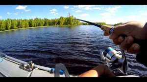 Трофейная рыбалка  в Карелии 2017. Хороший судак , крупная щука.