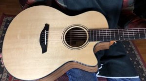 Furch Blue Plus Gc-SW Auditorium Cutaway w/Sitka Spruce top and Walnut back/sides