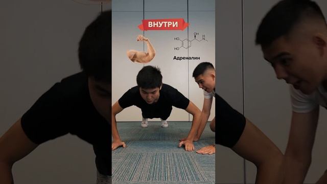 Кофеин смотреть онлайн