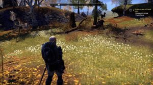 Гайд Танк Танкование. Какую расу и какой класс выбрать Танку в The Elder Scrolls Online ( TES, ESO