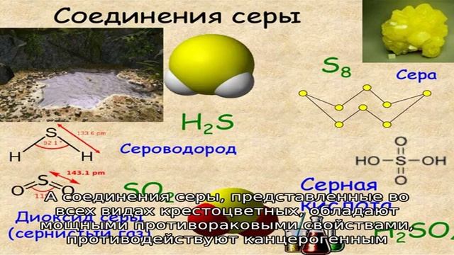 Продукты питания богатые серой смотреть онлайн