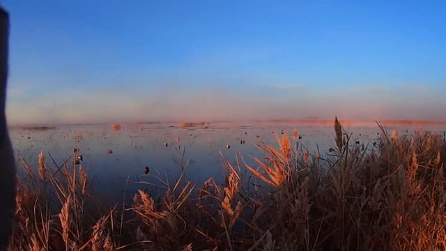 Утиная охота на раскатах. Охота и Рыбалка. смотреть онлайн