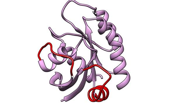 Conformational Change from active (GTP bound) to inactive (GDP bound) state of H-Ras protein. смотреть онлайн