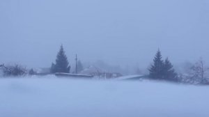 Михаил Шелег   .  Между Нами Города .