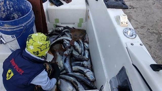 Морская рыбалка Владивосток 1 июня 2019 г ПОВОРОТНЫЙ БУЙ с группой рыбаков  камбала, минтай,краб