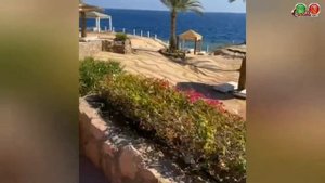 Monte Carlo Sharm Resort & Spa 5* - Меньше слов новый обзор для Вас...