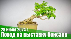 Поход на выставку бонсаев в Ботанический сад