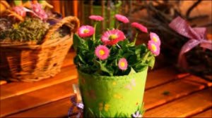 День Учителя       Teacher's Day