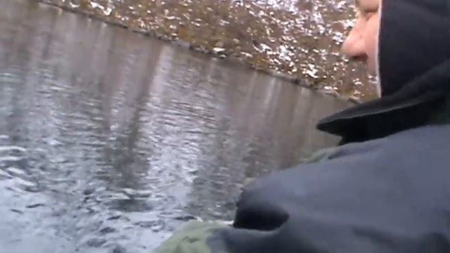 ЗУБАТКА!!! смотреть онлайн