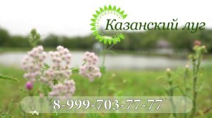 База отдыха для перезагрузки от городской суеты.